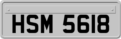 HSM5618