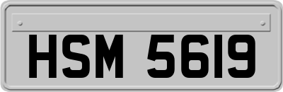HSM5619