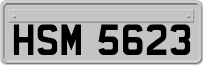 HSM5623