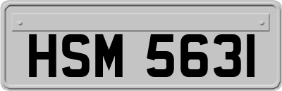 HSM5631