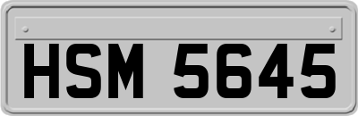 HSM5645