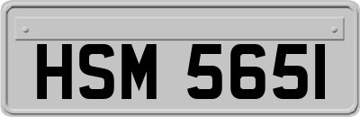 HSM5651