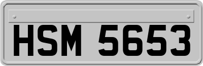 HSM5653