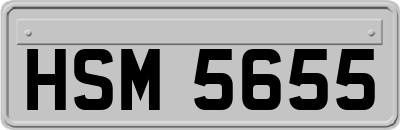 HSM5655