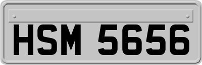 HSM5656
