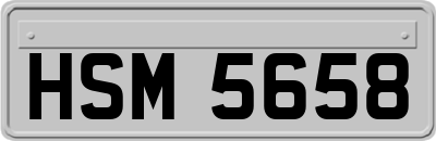 HSM5658