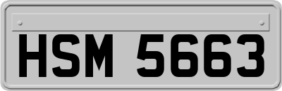 HSM5663