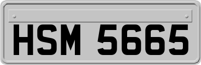 HSM5665