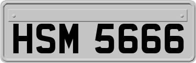 HSM5666