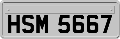 HSM5667