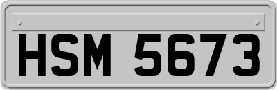 HSM5673