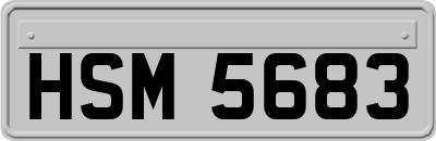 HSM5683