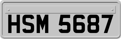 HSM5687