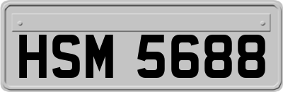 HSM5688