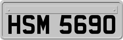 HSM5690