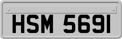 HSM5691