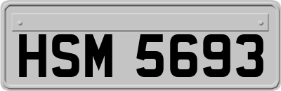 HSM5693