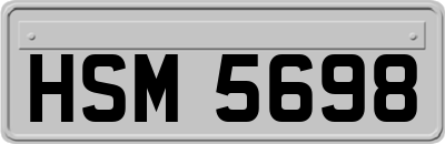 HSM5698