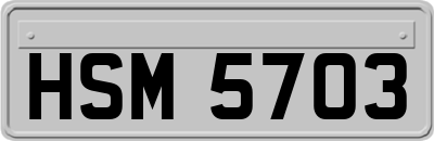 HSM5703
