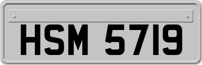 HSM5719