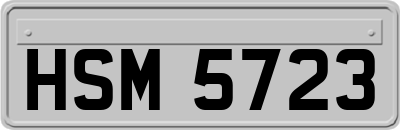 HSM5723