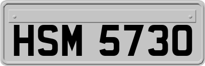 HSM5730