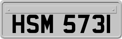 HSM5731
