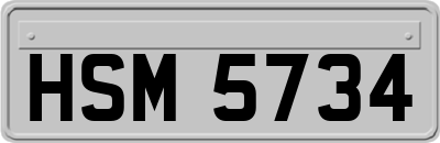 HSM5734