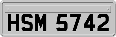 HSM5742
