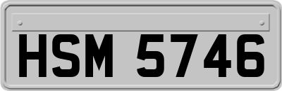 HSM5746