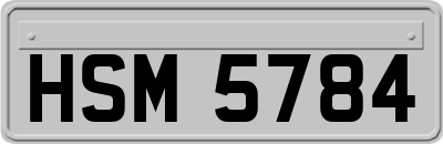 HSM5784