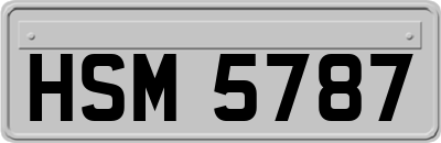HSM5787