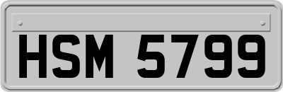 HSM5799