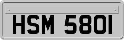 HSM5801