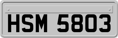 HSM5803