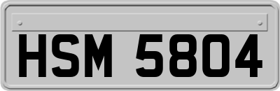 HSM5804