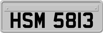 HSM5813