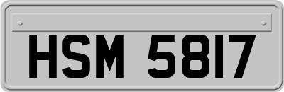 HSM5817