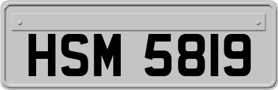 HSM5819