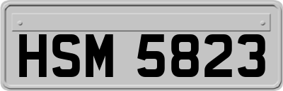 HSM5823