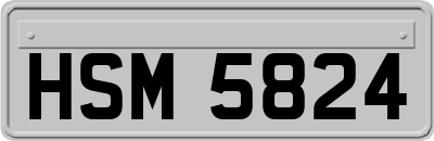 HSM5824