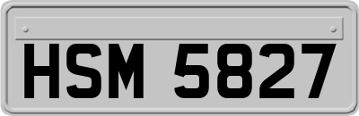 HSM5827