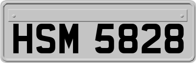 HSM5828