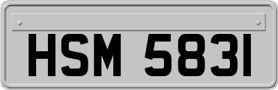 HSM5831