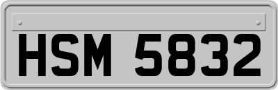 HSM5832