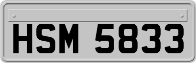 HSM5833