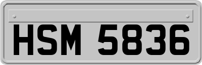 HSM5836