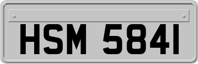 HSM5841