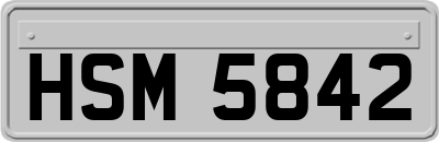 HSM5842