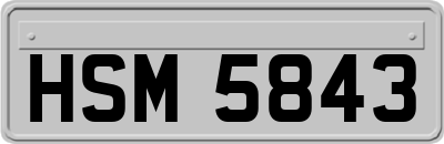 HSM5843